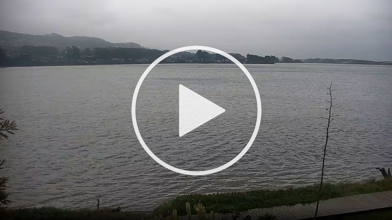 Live Cam Back Bay Inn, Baywood Park, Morro Bay, Los Osos, California - United States