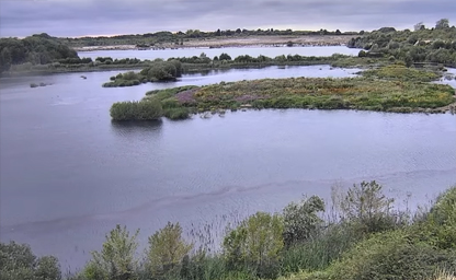 College Lake Nature Reserve