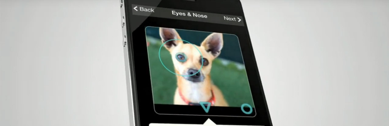 Face detection isn’t just for humans Face detection isn’t just for humans