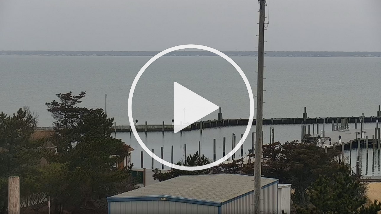 Live Cam Fire Island and Beyond - Marina View - New York - United States