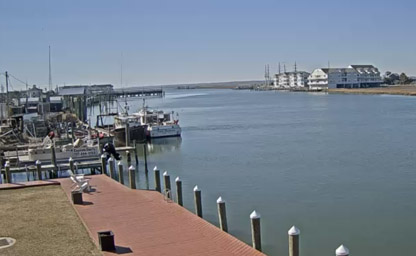 Chincoteague