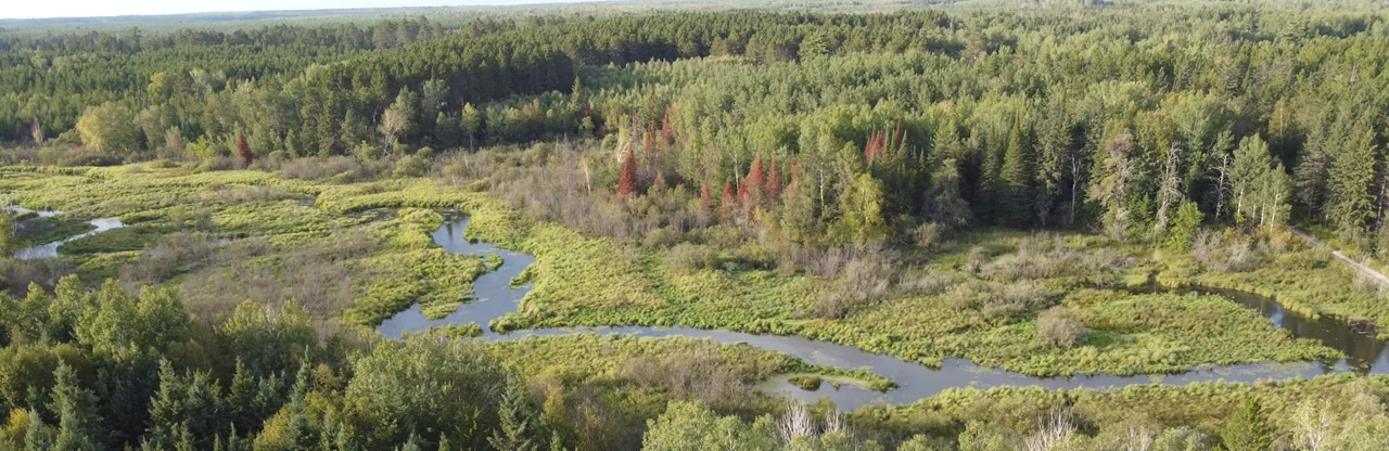 History of Cass County's Chippewa National Forest History of Cass County's Chippewa National Forest