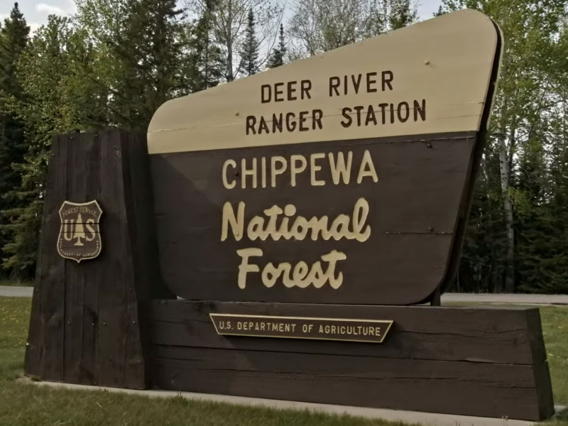History of Cass County's Chippewa National Forest