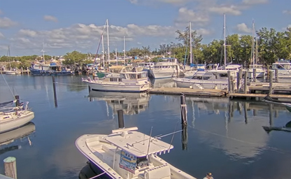 Hogfish Bar & Grill