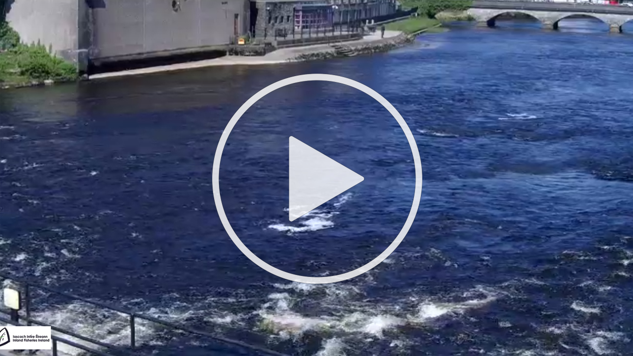 Live Webcam Ridge Pool, Ballina, County Mayo - Ireland Live Webcam Ridge Pool, Ballina, County Mayo - Ireland