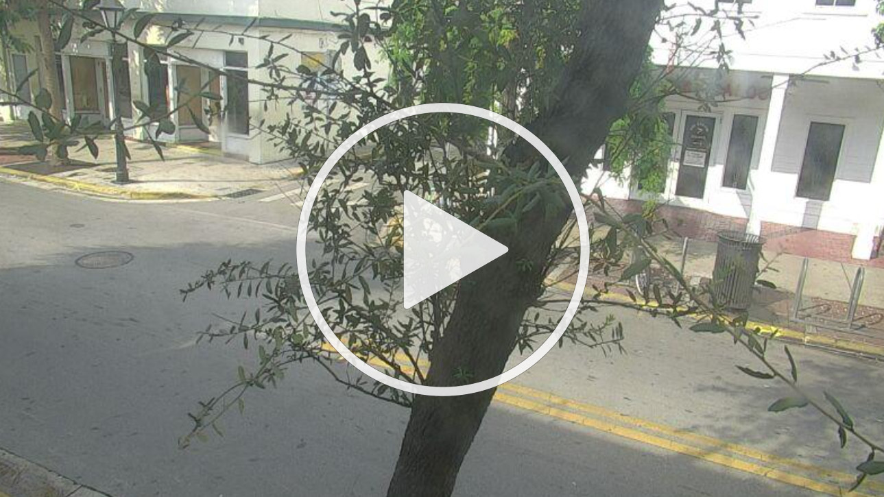 Live Webcam Duval Street View, Key West, Florida - United States