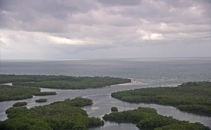 Kalea Bay