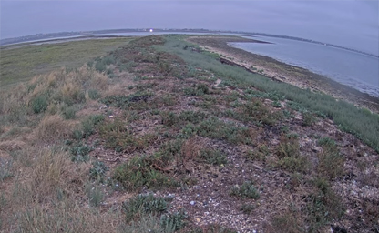 Langstone Harbour