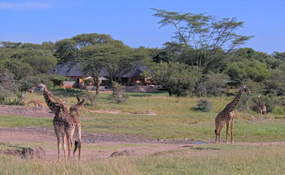 Maasai Mara National Reserve