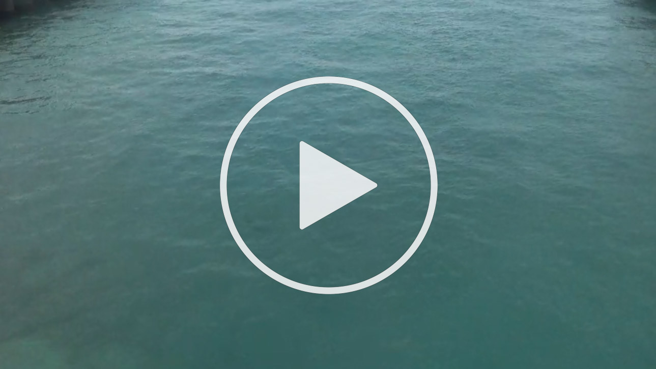 Live Webcam Manatee Lagoon, West Palm Beach, Florida - United States