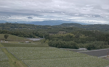 Nakaizu Winery Chateau T. S