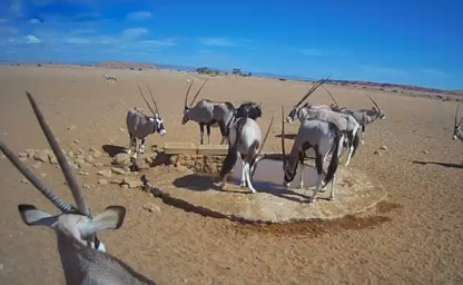 Gondwana Namib Park