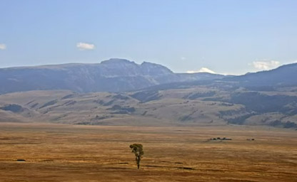 Jackson Hole Refuge