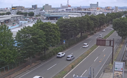 National Route 8