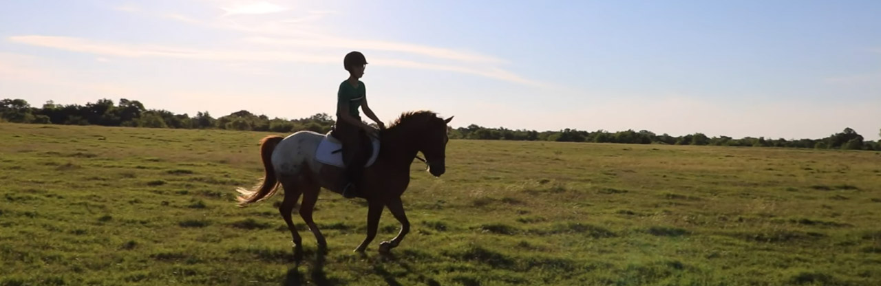 Horseback Riding Horseback Riding