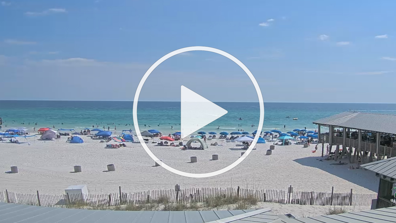 Live Webcam Pineapple Willy's - Pier Cam - Panama City Beach, Florida - United States