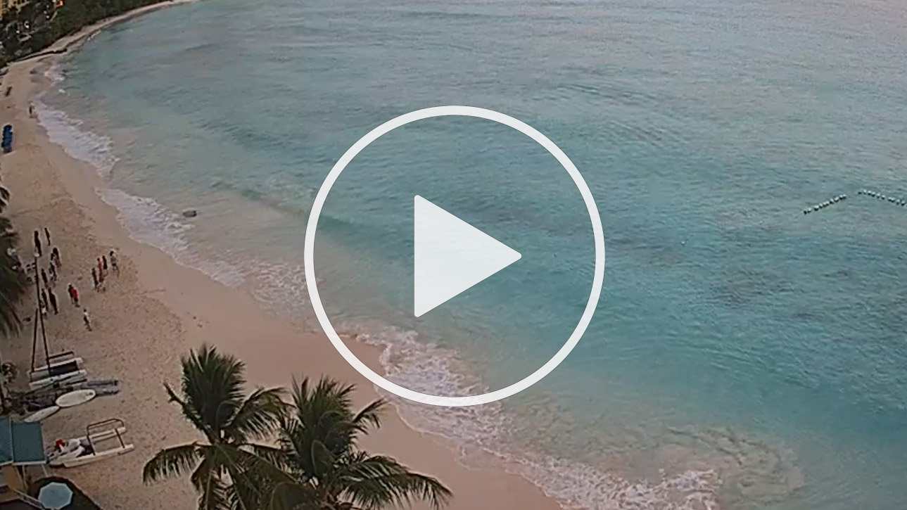 Live Webcam Radisson Aquatica Resort, Carlisle Bay, Aquatic Gap, St. Michael - Barbados