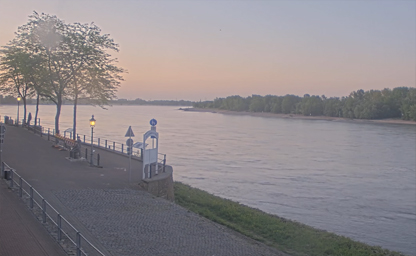 Rhein bei Rees