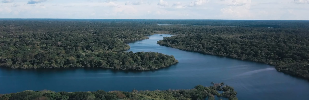 The Amazon - a whirlwind for the senses The Amazon - a whirlwind for the senses