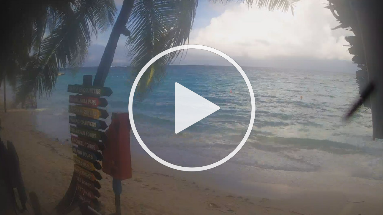 Live Cam The Beach House Roatán, Half Moon Bay, West End - Honduras