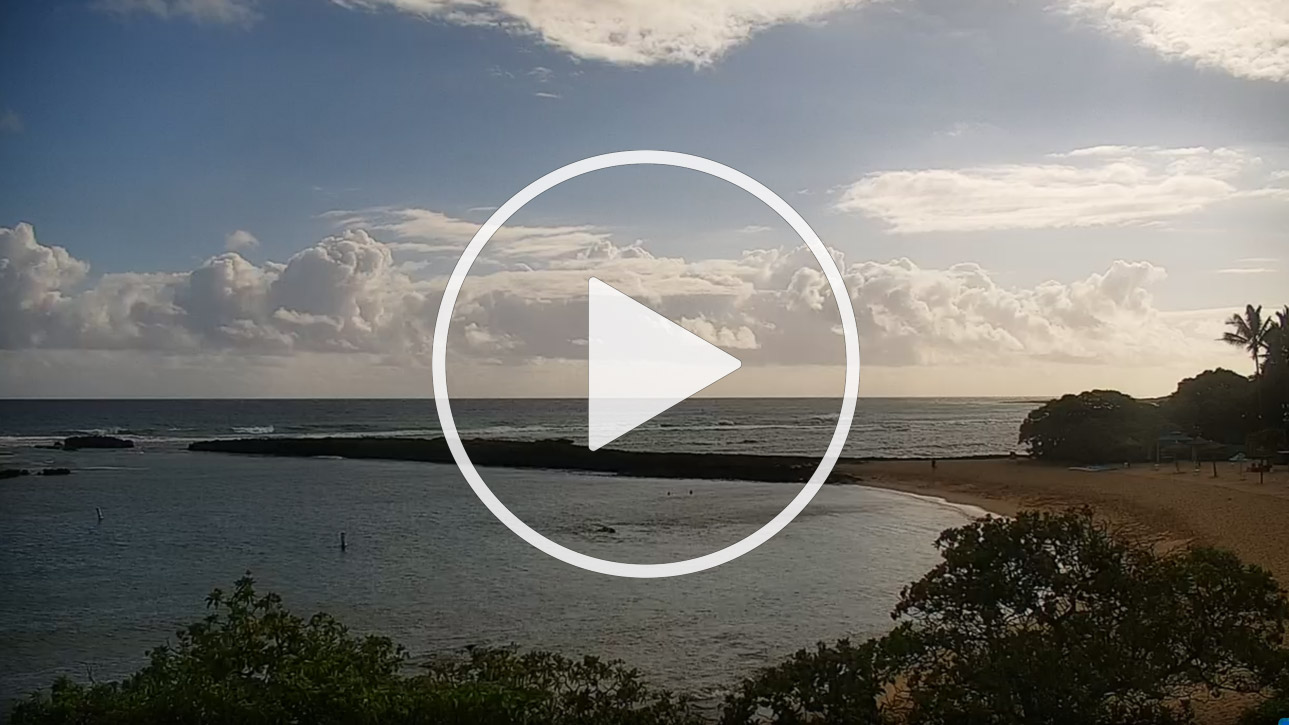 Live Cam Turtle Bay Resort - Kuilima Cove and Bay - Kahuku, Hawaii - United States