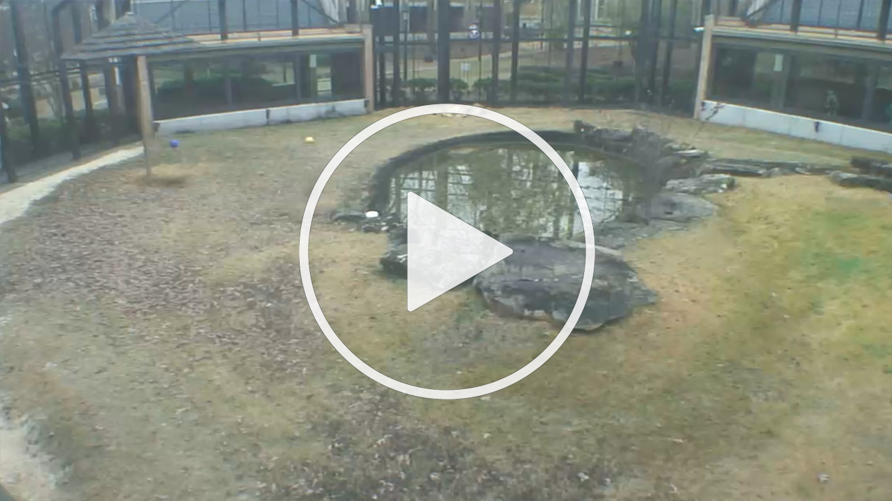 Live Webcam University of North Alabama, Harrison Plaza, Florence - United States